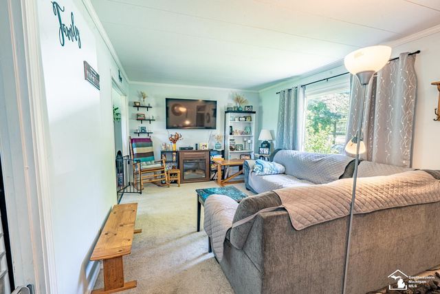 16788 Ida West Road, Summerfield Twp, MI 49270