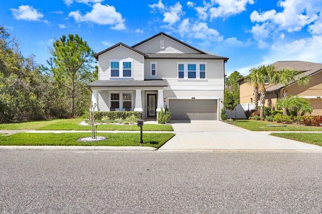 8721 SAVORY WALK DRIVE, Land O Lakes, FL 34637