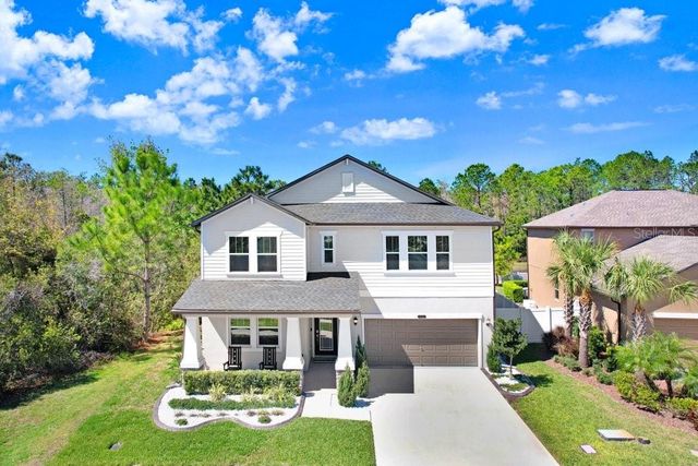 8721 SAVORY WALK DRIVE, Land O Lakes, FL 34637