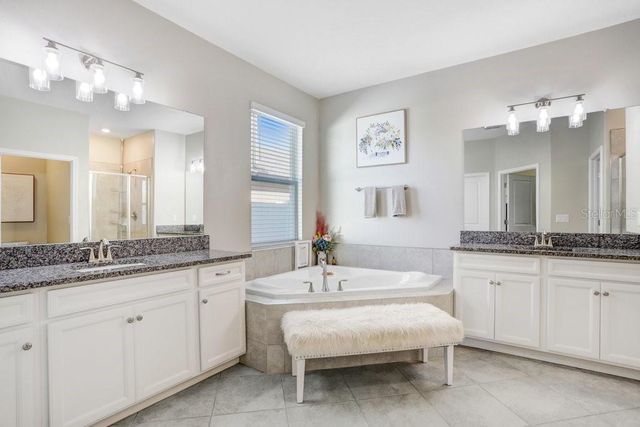 8721 SAVORY WALK DRIVE, Land O Lakes, FL 34637