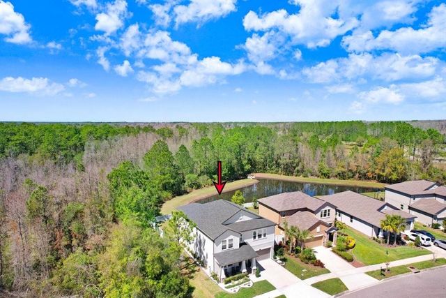 8721 SAVORY WALK DRIVE, Land O Lakes, FL 34637