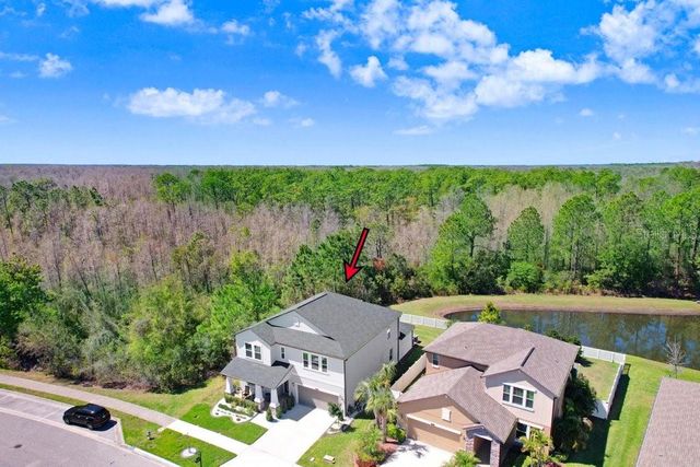 8721 SAVORY WALK DRIVE, Land O Lakes, FL 34637