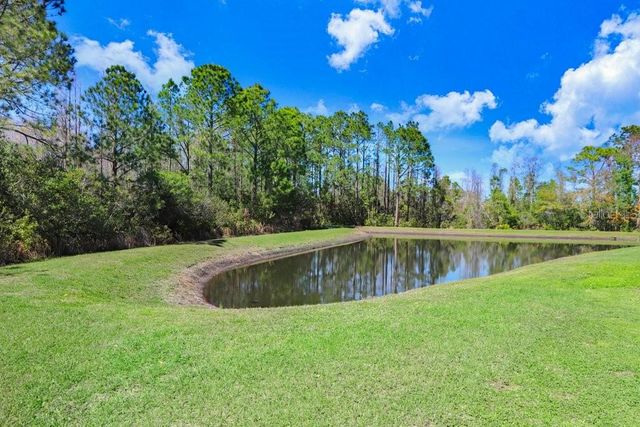 8721 SAVORY WALK DRIVE, Land O Lakes, FL 34637