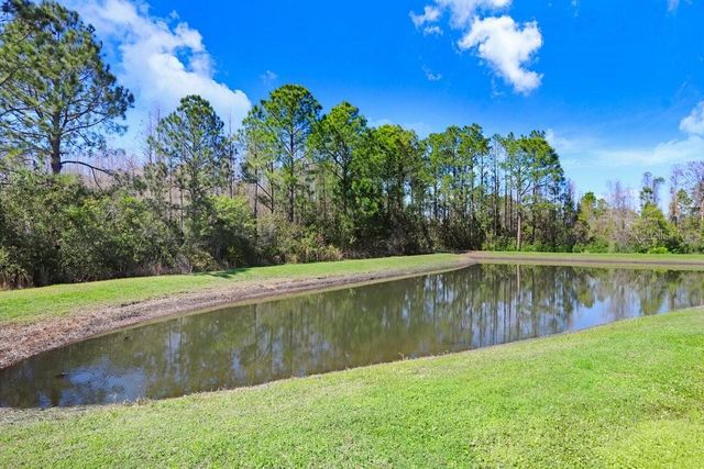 8721 SAVORY WALK DRIVE, Land O Lakes, FL 34637