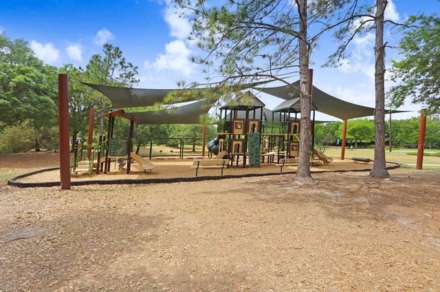 8721 SAVORY WALK DRIVE, Land O Lakes, FL 34637