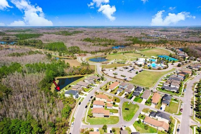 8721 SAVORY WALK DRIVE, Land O Lakes, FL 34637