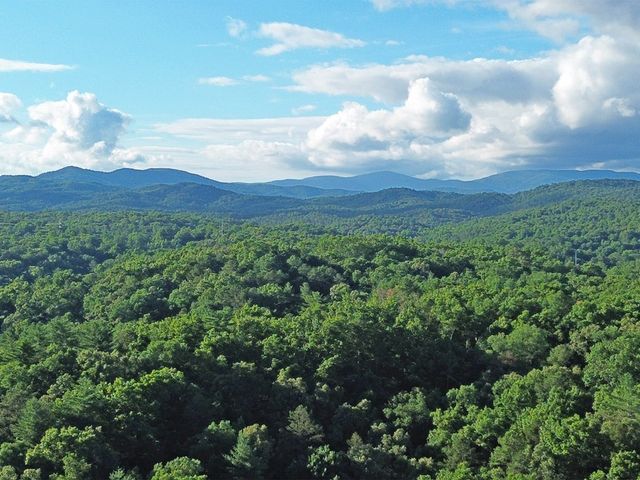Lot 19 Mt. Springer Road, Ellijay, GA 30540