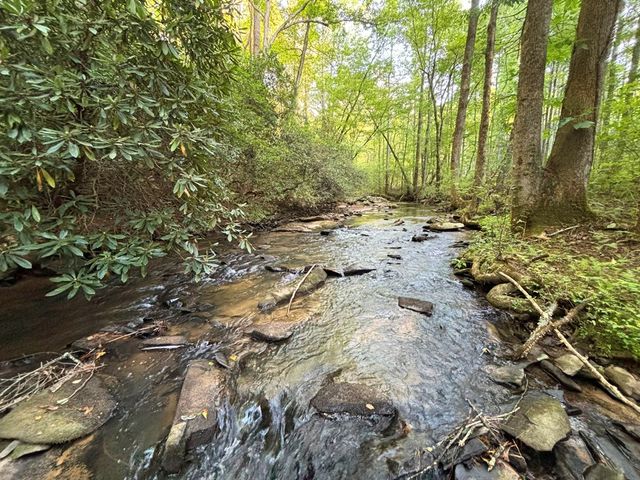 Lot 19 Mt. Springer Road, Ellijay, GA 30540