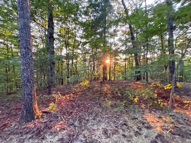 Lot 19 Mt. Springer Road, Ellijay, GA 30540