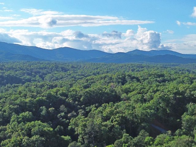Lot 19 Mt. Springer Road, Ellijay, GA 30540