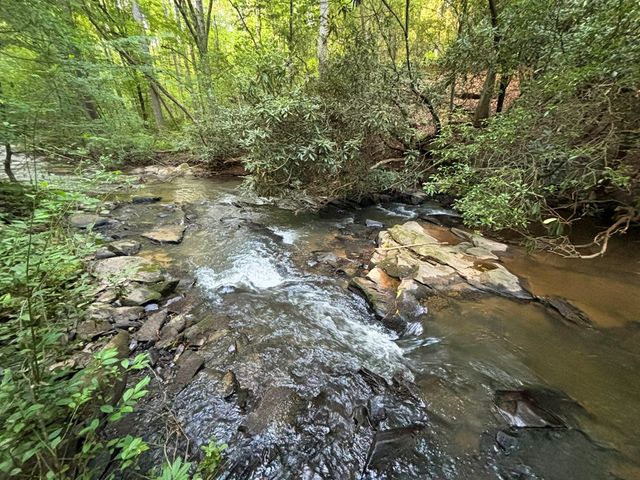 Lot 19 Mt. Springer Road, Ellijay, GA 30540