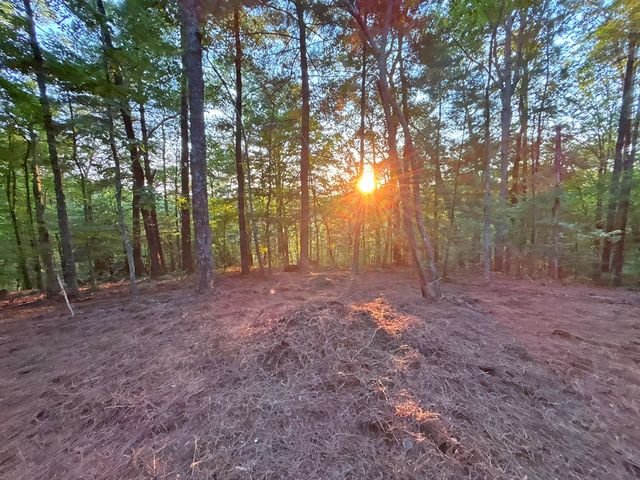 Lot 19 Mt. Springer Road, Ellijay, GA 30540