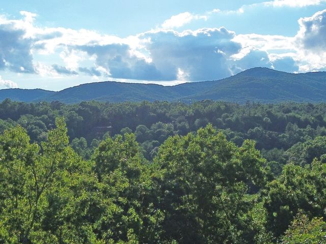 Lot 19 Mt. Springer Road, Ellijay, GA 30540