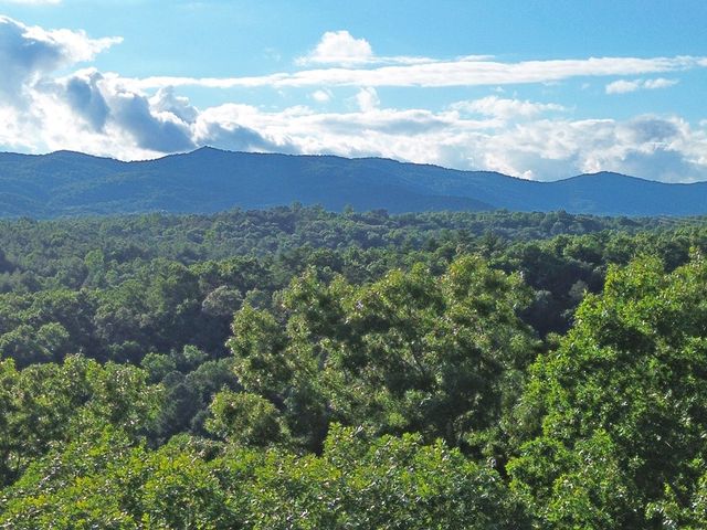 Lot 19 Mt. Springer Road, Ellijay, GA 30540