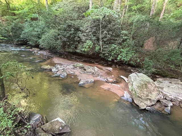 Lot 19 Mt. Springer Road, Ellijay, GA 30540