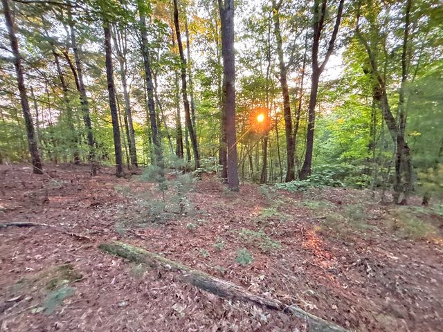 Lot 19 Mt. Springer Road, Ellijay, GA 30540