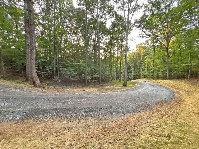Lot 19 Mt. Springer Road, Ellijay, GA 30540