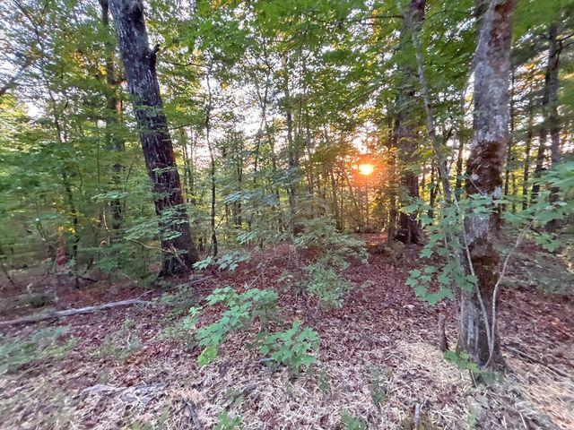 Lot 19 Mt. Springer Road, Ellijay, GA 30540