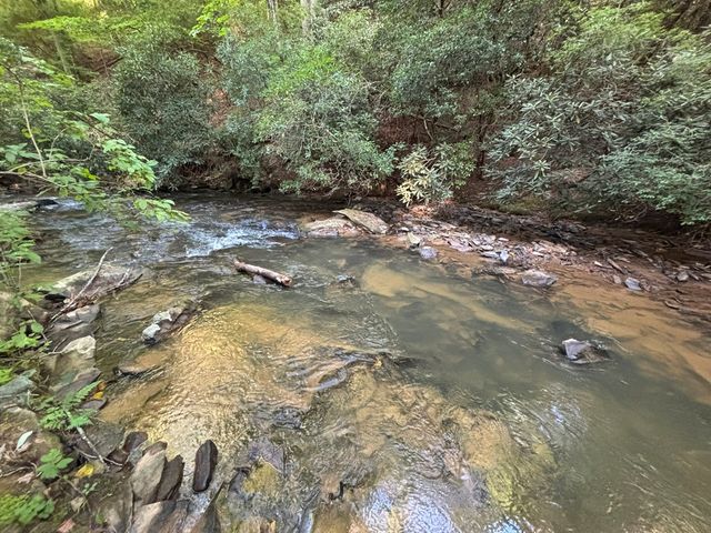 Lot 19 Mt. Springer Road, Ellijay, GA 30540