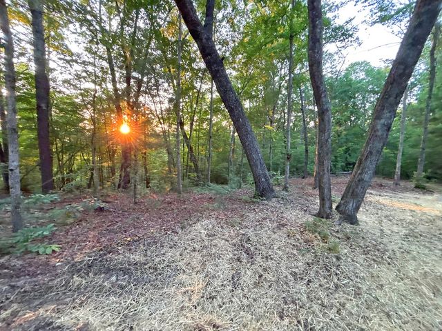 Lot 19 Mt. Springer Road, Ellijay, GA 30540