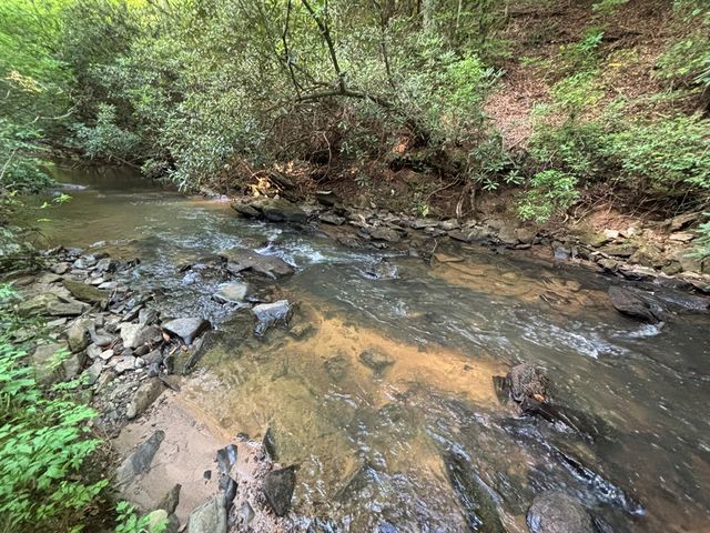 Lot 19 Mt. Springer Road, Ellijay, GA 30540