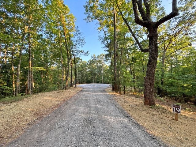 Lot 19 Mt. Springer Road, Ellijay, GA 30540