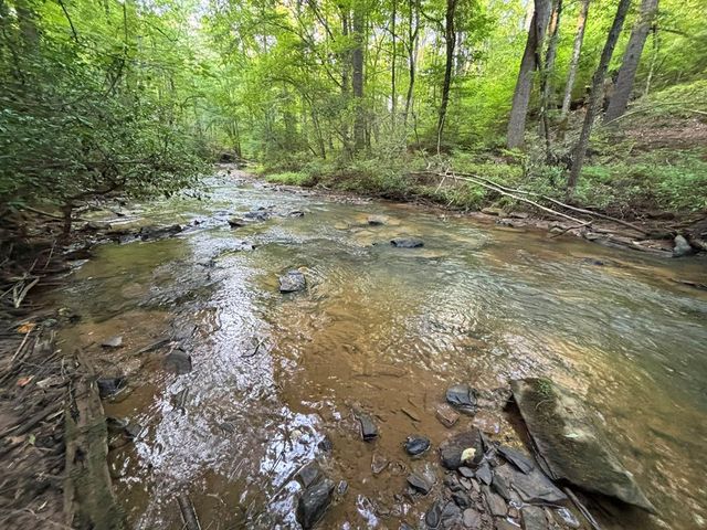 Lot 19 Mt. Springer Road, Ellijay, GA 30540