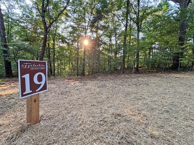 Lot 19 Mt. Springer Road, Ellijay, GA 30540