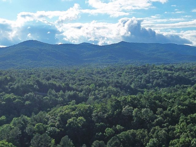 Lot 19 Mt. Springer Road, Ellijay, GA 30540