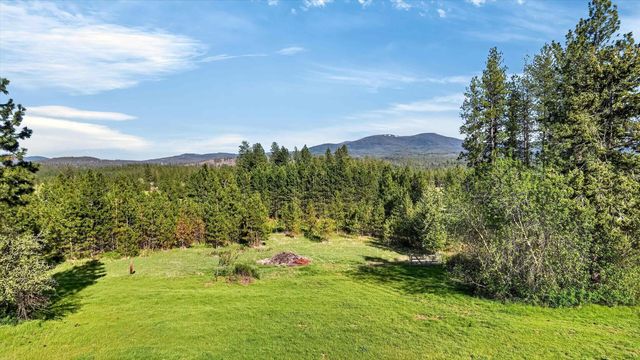 10203 E Chinook Ln, Chattaroy, WA 99003