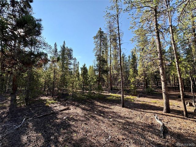 479 Birch Dr, Twin Lakes, CO 80461