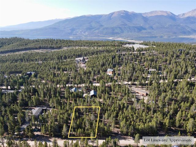 479 Birch Dr, Twin Lakes, CO 80461