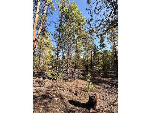 479 Birch Dr, Twin Lakes, CO 80461