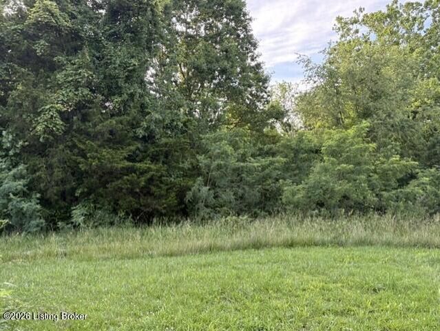 390 Nubbin Ridge Rd, Milton, KY 40045