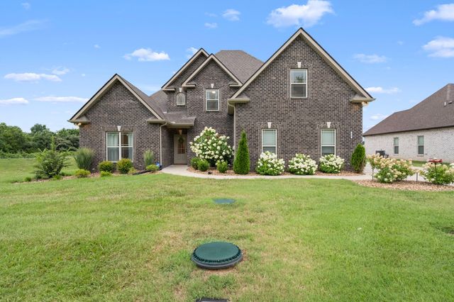810 Walnut Grove Rd, Christiana, TN 37037