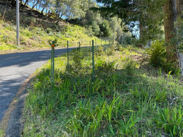 00 Willow Glen Road, Whitethorn, CA 95589