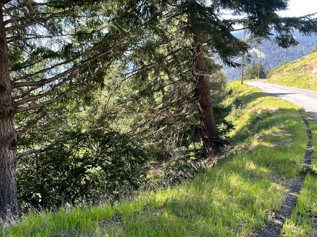 00 Willow Glen Road, Whitethorn, CA 95589