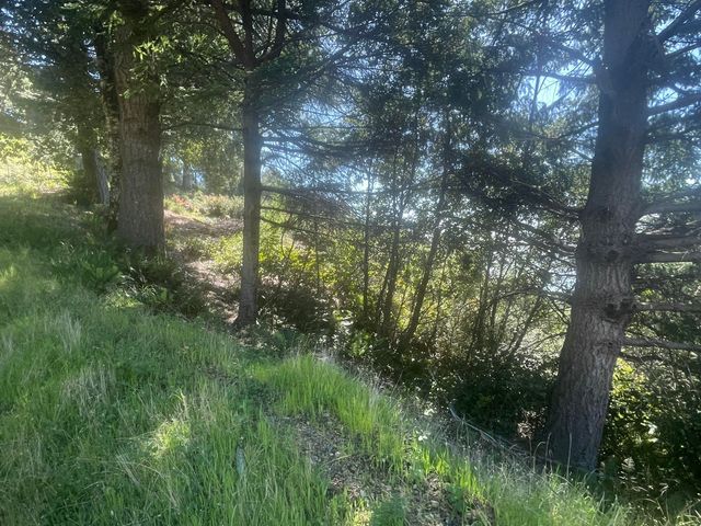 00 Willow Glen Road, Whitethorn, CA 95589