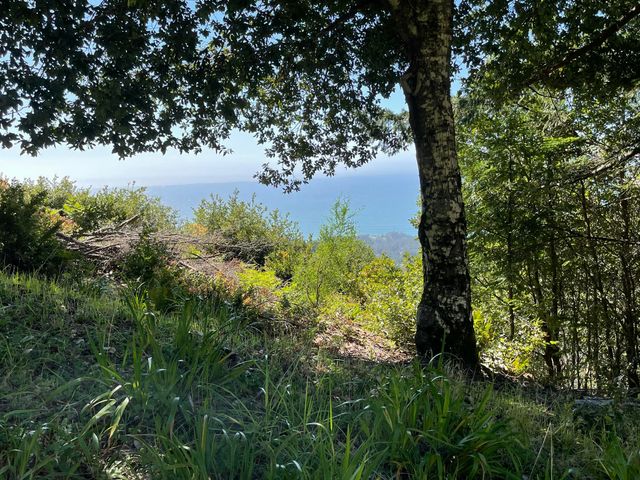 00 Willow Glen Road, Whitethorn, CA 95589