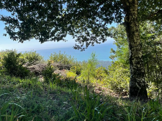 00 Willow Glen Road, Whitethorn, CA 95589