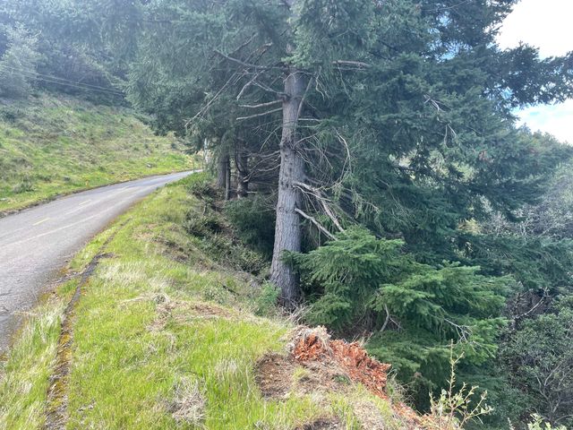 00 Willow Glen Road, Whitethorn, CA 95589