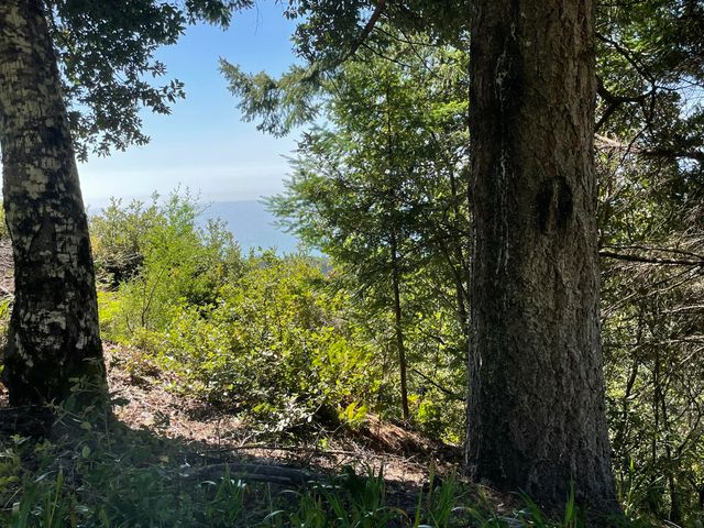 00 Willow Glen Road, Whitethorn, CA 95589