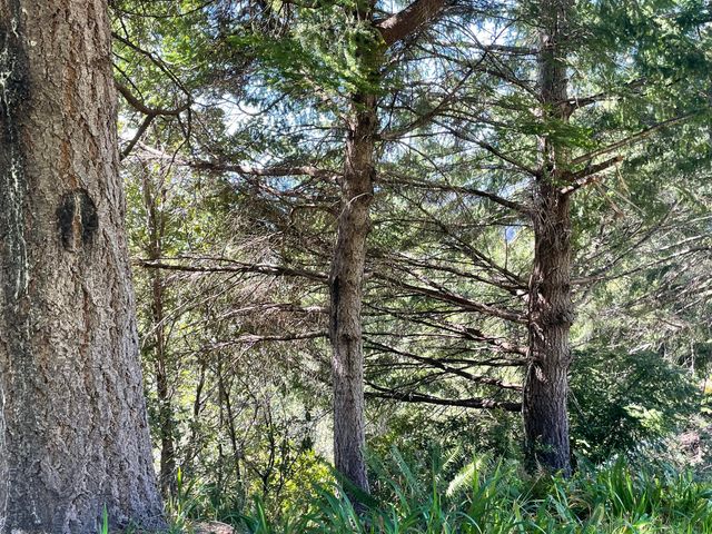 00 Willow Glen Road, Whitethorn, CA 95589