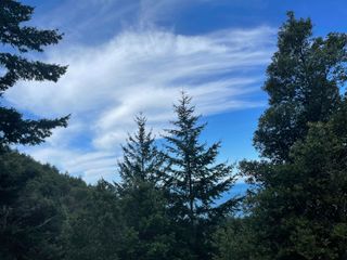 00 Willow Glen Road, Whitethorn, CA 95589