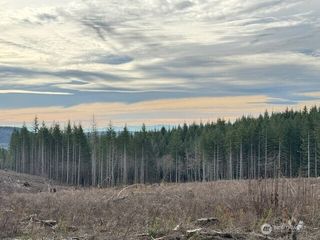 0 August Road, Onalaska, WA 98570