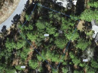 9097 N SAPONARIA DRIVE, Citrus Springs, FL 34433