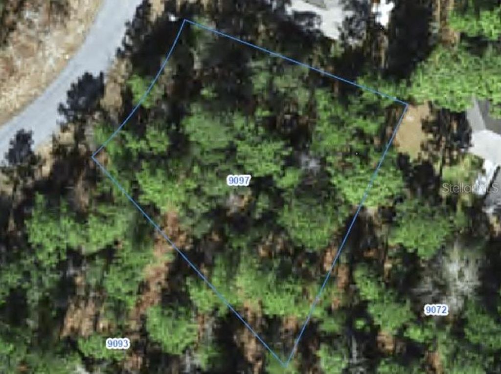 9097 N SAPONARIA DRIVE, Citrus Springs, FL 34433