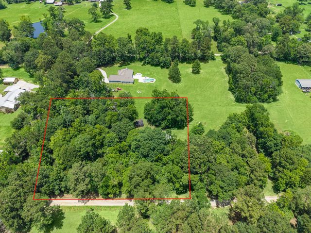 17320 Dutch Road, New Waverly, TX 77358