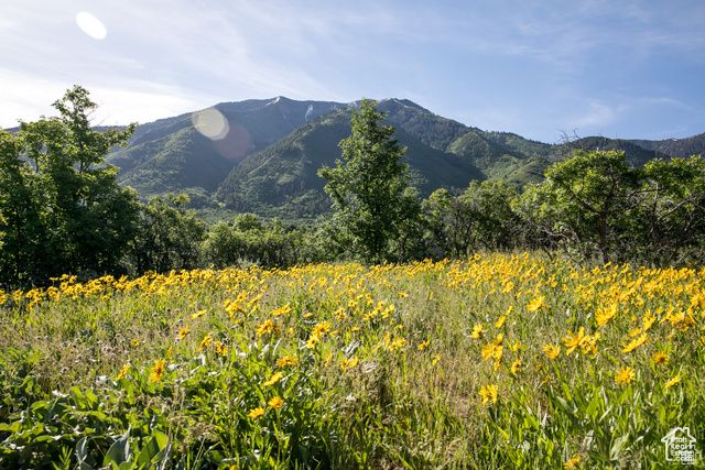 1043 S Summit Dr 142, Woodland Hills, UT 84653