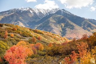 1043 S Summit Dr 142, Woodland Hills, UT 84653